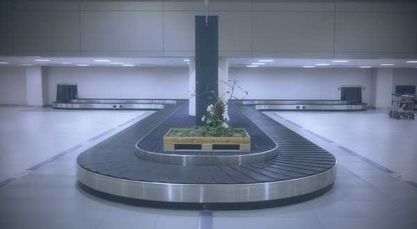 Market report on Deriv